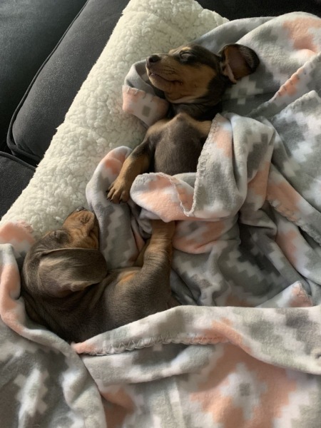 sammy-and-Liliah